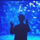 陈浩