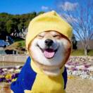 Wy。L