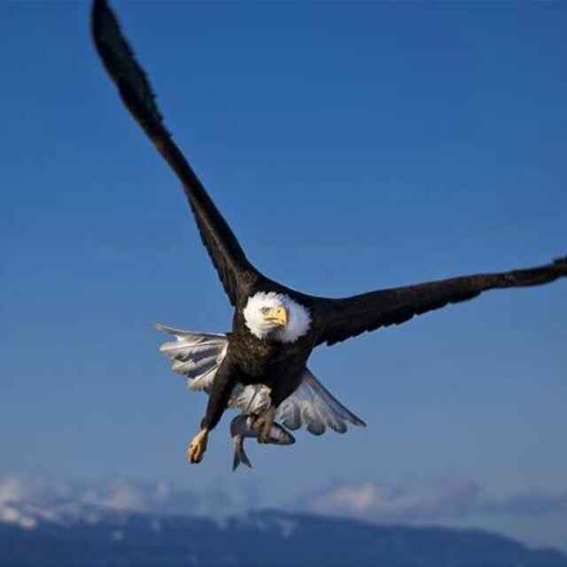 信息部-洪山二组-周鹏