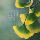 蓝色心空