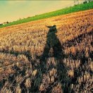 阳光灿烂的日子