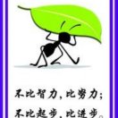 兵