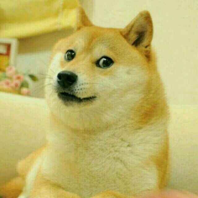 喵了个咪