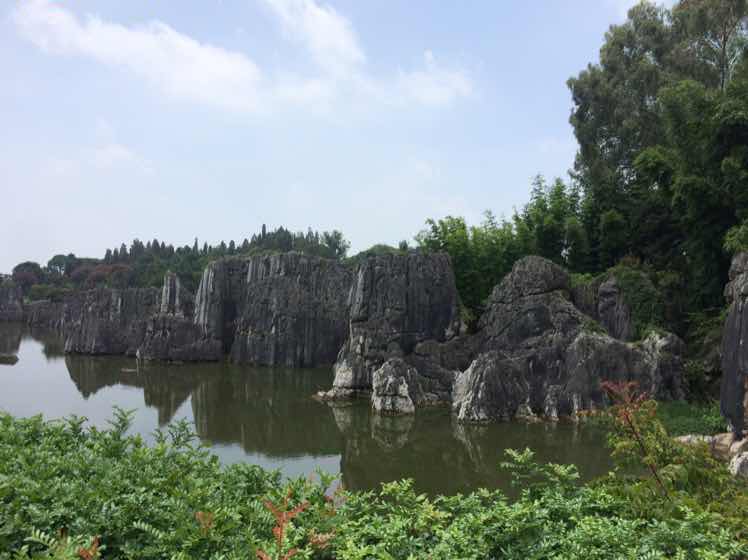 刘仪