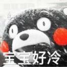 张小雨