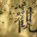 見路非路即見因果