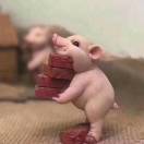 小卒似車不是車