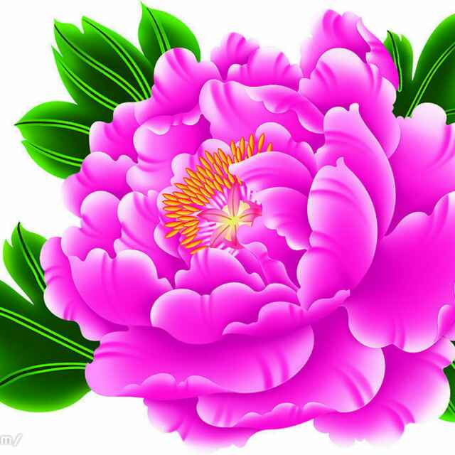 金牌网络 & 监控&远程智能控制