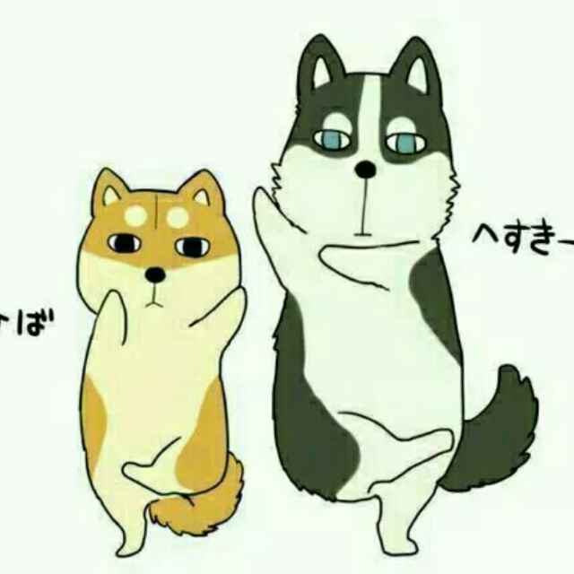 躺在银龙的背上