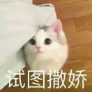 一只多宝鱼