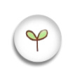 苗洋洋