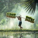 追逐晴朗的日子