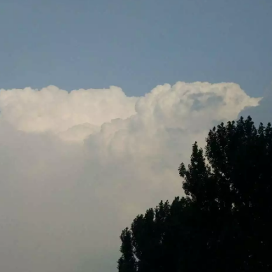 小绿人家电清洗    雨辰