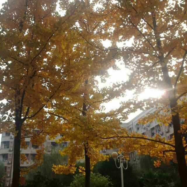 欧阳