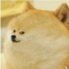 Pavlov