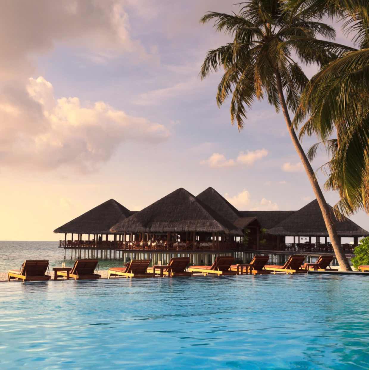 光照满庭耀比千秋