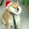 史旭明