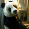 i红尘颠倒