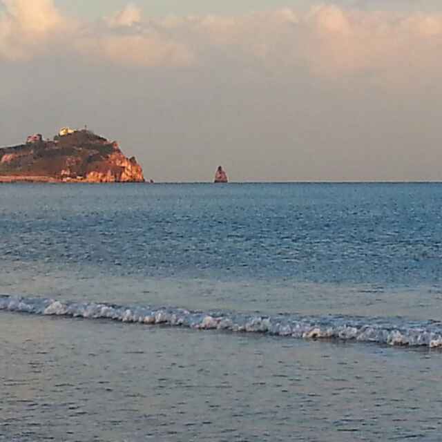 刘卉