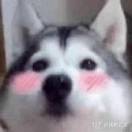 一生热爱