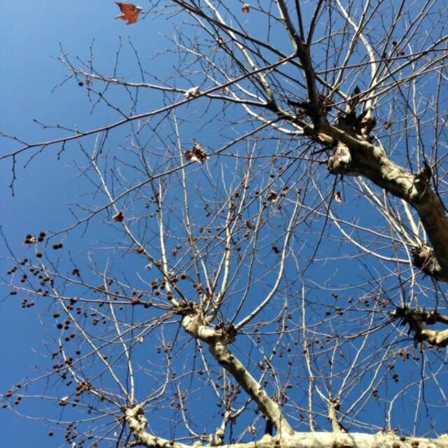 哎呦喂，凉透了～