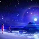 Love to eat fish cat