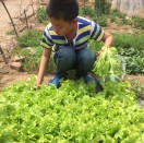 四季如春