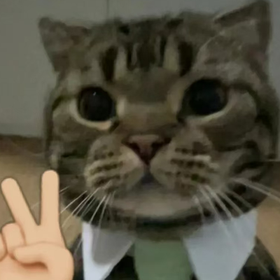 沉慕