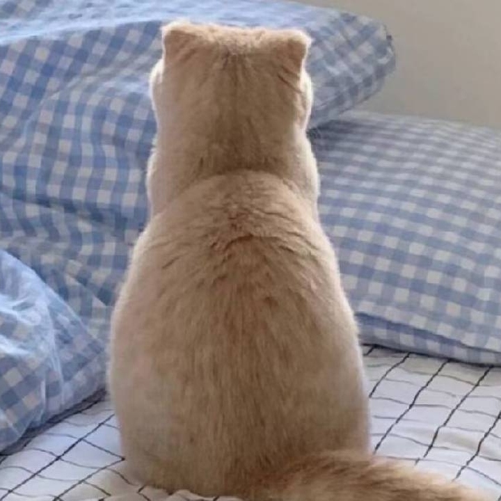 fjnpzwh