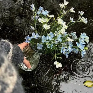 ☃壹✘