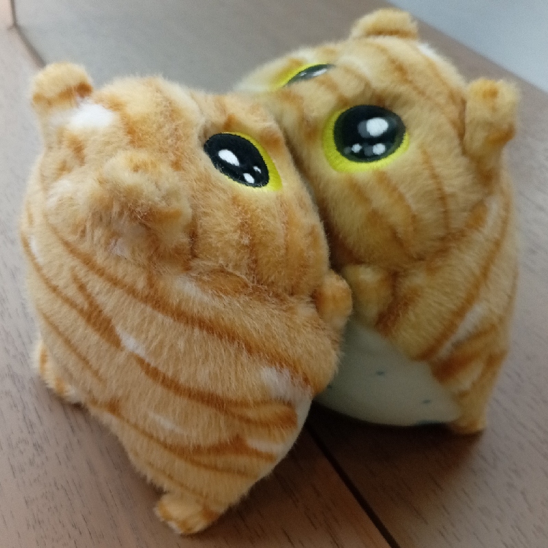 小木瓜