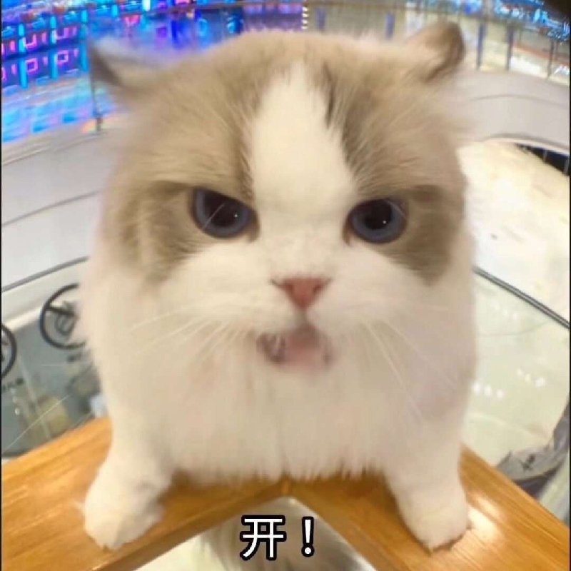 睡到2027