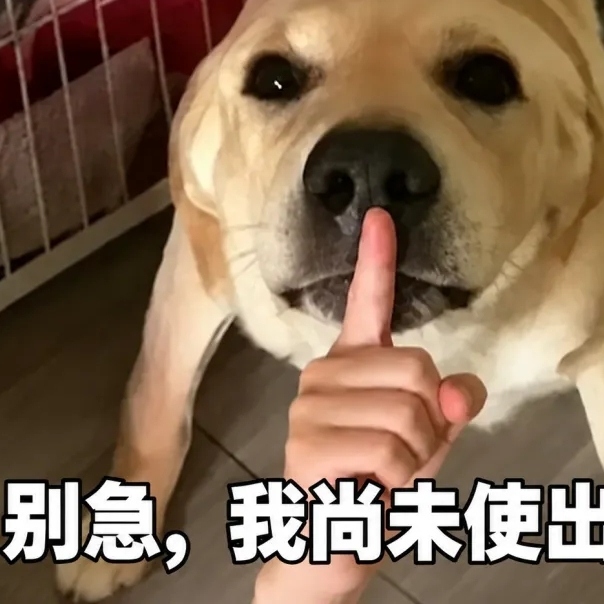 张炜健