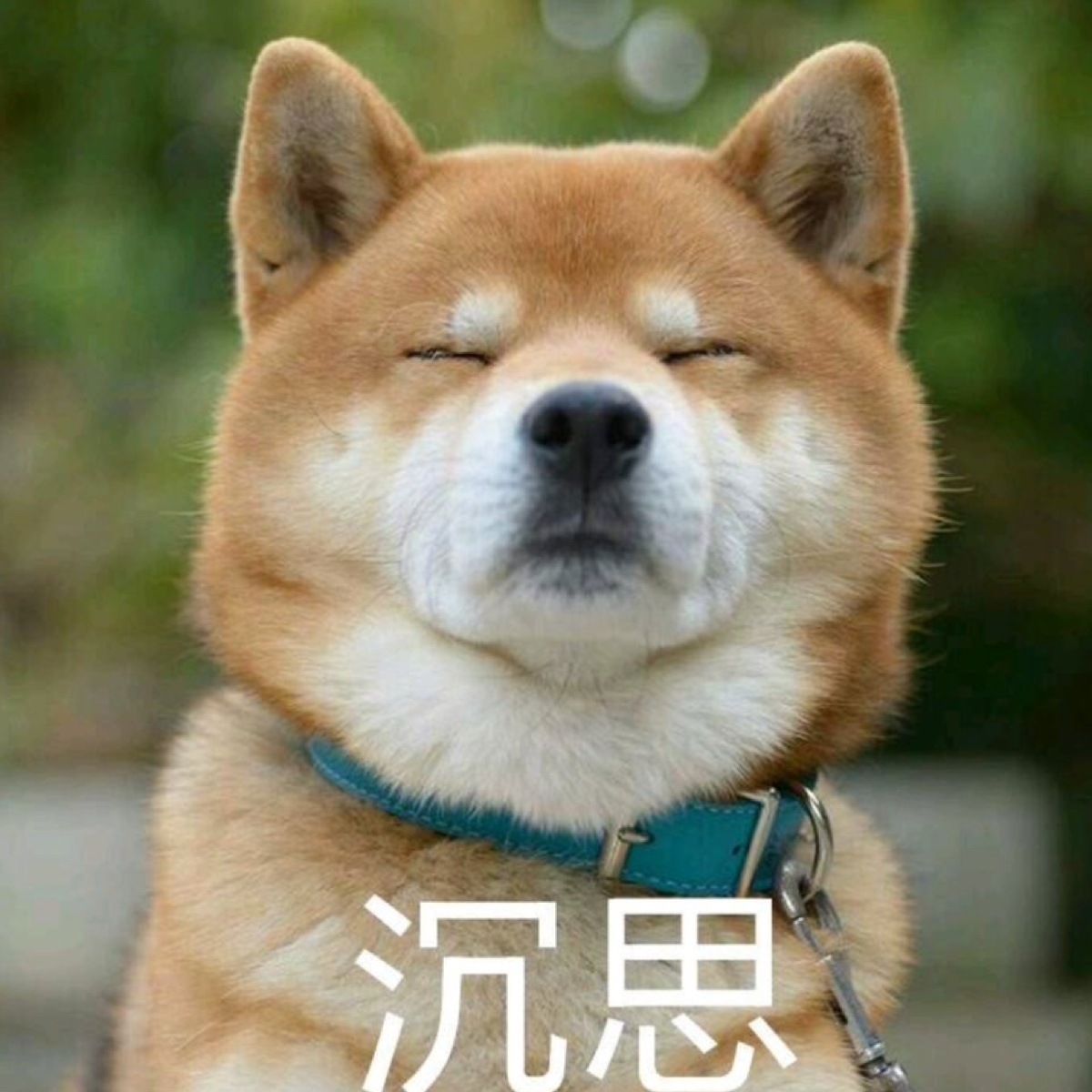 WPS-郭安捷