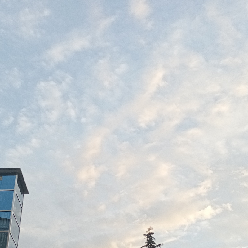 执念