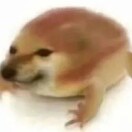 呱唧呱唧汪汪汪