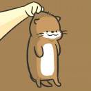 顺顺哩~