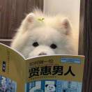 平安.