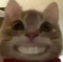 兀12366