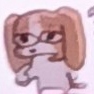 瞳孔
