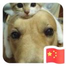 姚鑫