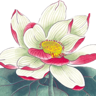 小西瓜瓜呀