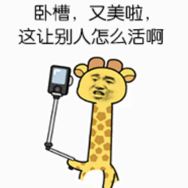 泽辉