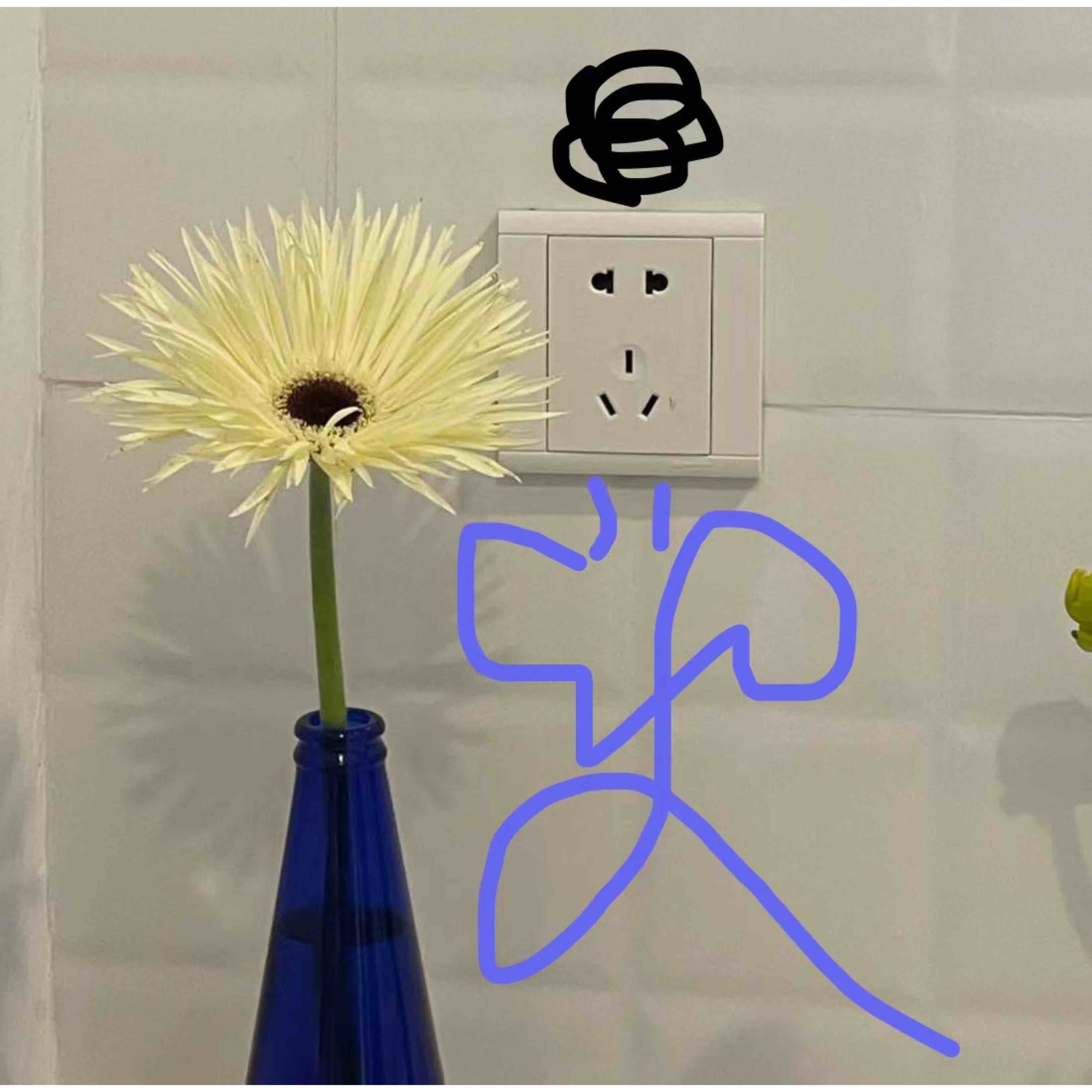 兰珩