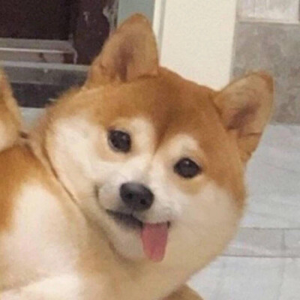 张鹏