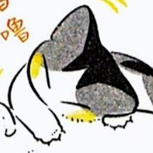 完了我都傻了真的